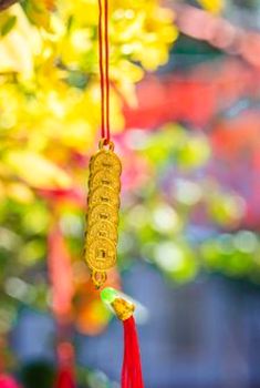 chia sẻ Debet